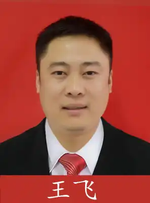王飞